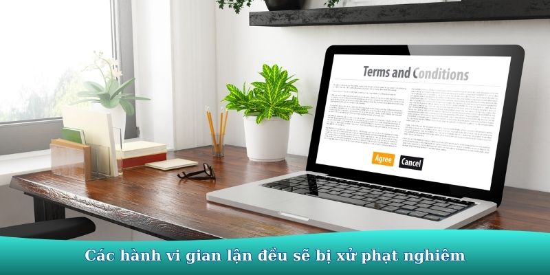 Điều khoản