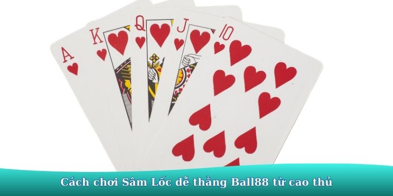 Sâm lốc