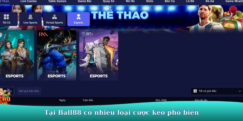 thể thao 